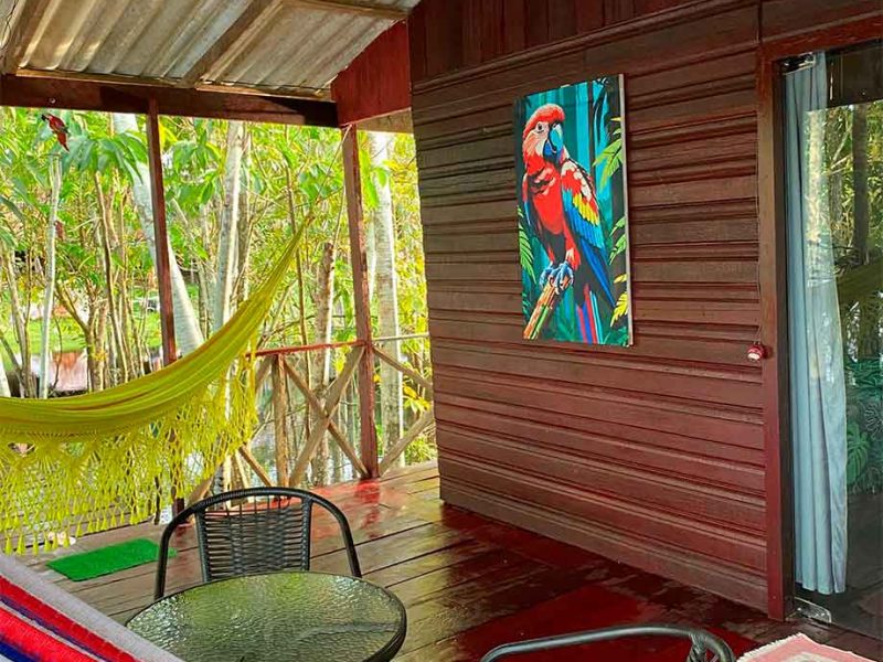 capybara-amazon-lodge